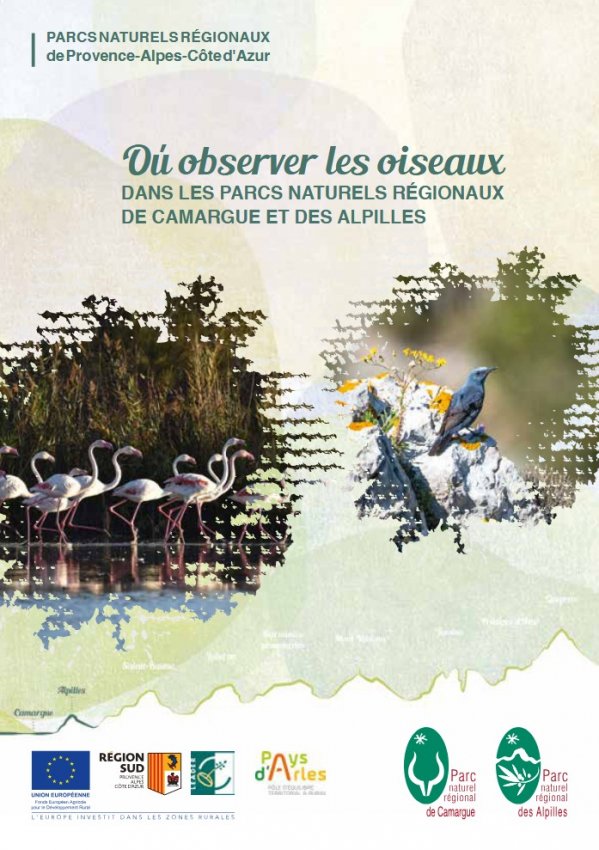 biglivret_observer_oiseaux_camargue